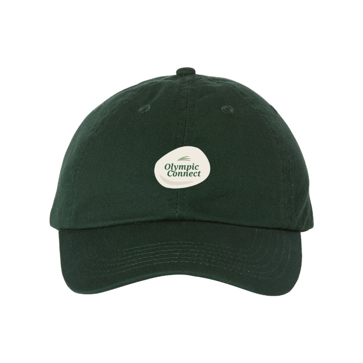 Bio-Washed Classic Dad Hat - VC300A